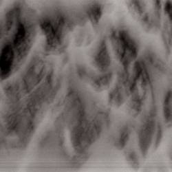 Stoneburner : 2009 Demo